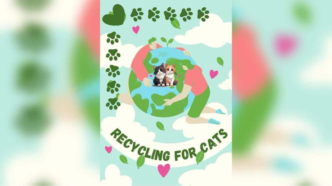 Recycling For Cats eTwinning Projesi